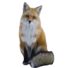 🤩 Эмодзи «Лисы Tg» для Telegram