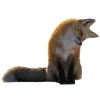 🤩 Эмодзи «Лисы Tg» для Telegram