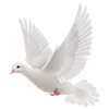 🕊 Эмодзи «dark academia - эмоджипак литература и искусство» для Telegram