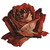 🌹 Эмодзи «dark academia - эмоджипак литература и искусство» для Telegram