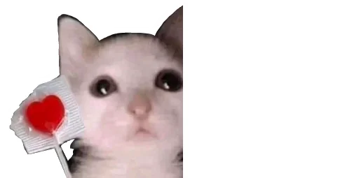 🎂 Стикер «Little Kitties» для Telegram