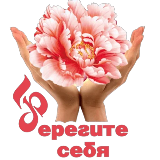 😇 Стикер «Понемногу обо всем» для Telegram