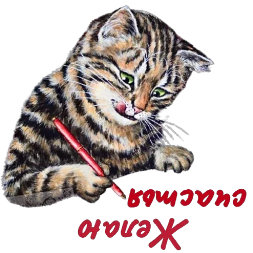 ✍️ Стикер «Понемногу обо всем» для Telegram