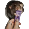 🐀 Эмодзи «200 Крыс» для Telegram
