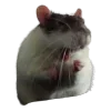 🐀 Эмодзи «200 Крыс» для Telegram