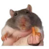🐀 Эмодзи «200 Крыс» для Telegram