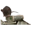 🐀 Эмодзи «200 Крыс» для Telegram