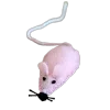 🐀 Эмодзи «200 Крыс» для Telegram