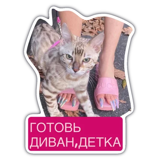 🥰 Стикер «Готовь диван детка» для Telegram