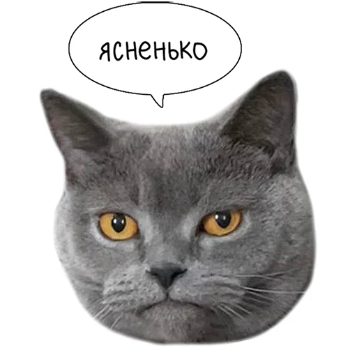 Стикерпак Laksheri_realkotaksheri для Telegram — скачать