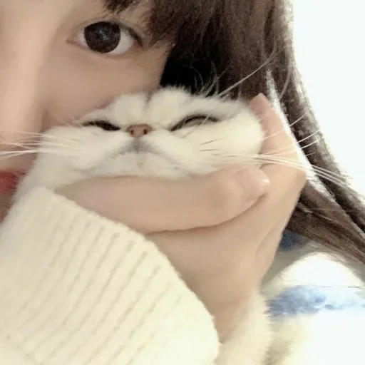 🥰 Стикер «Абьюзер» для Telegram