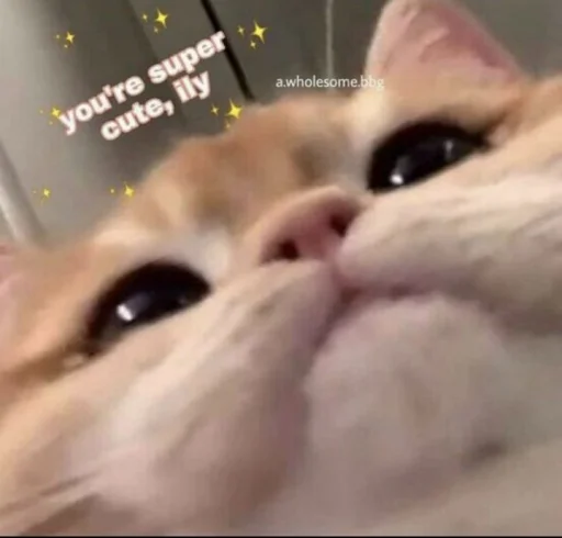 🥰 Стикер «Абьюзер» для Telegram