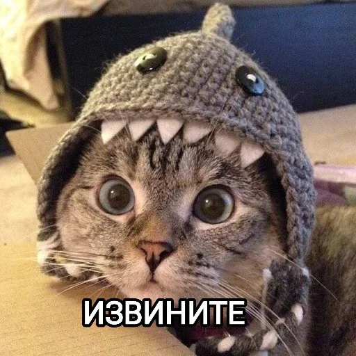 🙄 Стикер «Funny animals - Loinyre» для Telegram