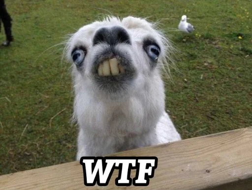 😯 Стикер «Funny animals - Loinyre» для Telegram