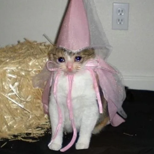 🥺 Стикер «Funny Animals 3» для Telegram