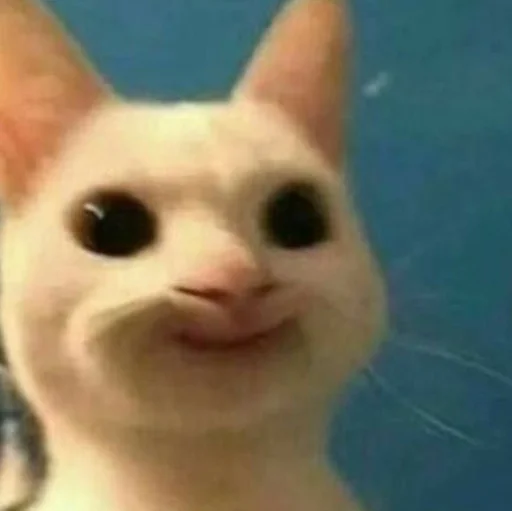😌 Стикер «Funny Animals 3» для Telegram