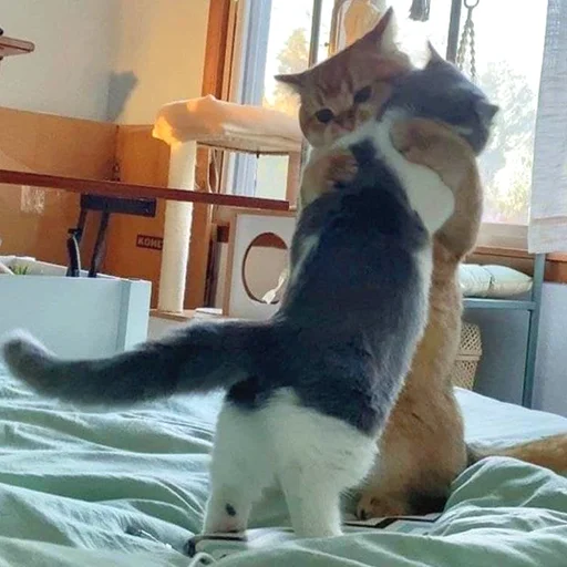 ☺️ Стикер «Funny Animals 3» для Telegram