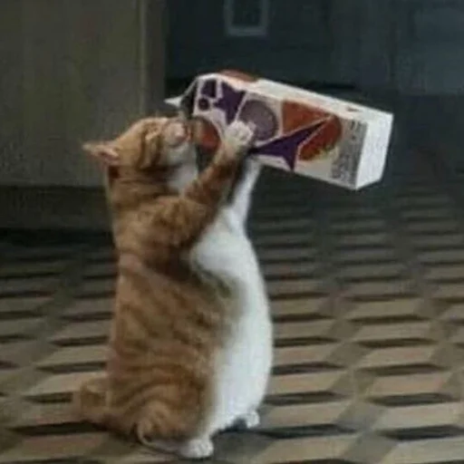 🥛 Стикер «Funny Animals 3» для Telegram