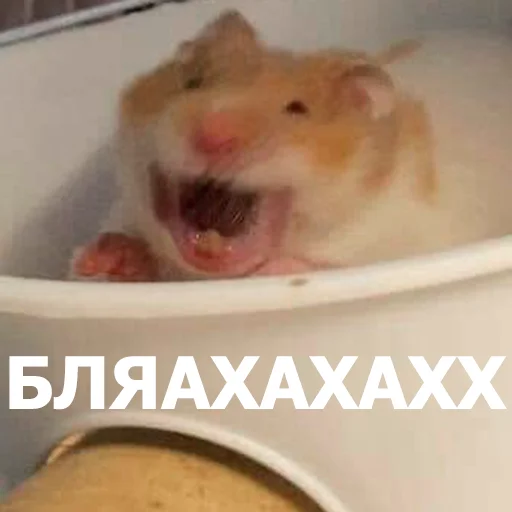 Стикерпак Funny Animals 4 для Telegram