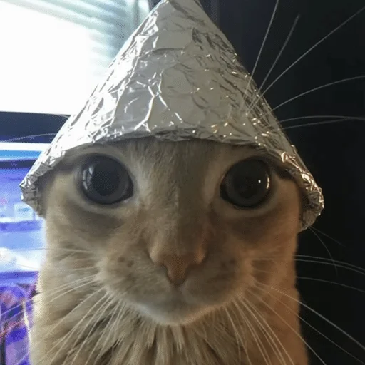😳 Стикер «Cats memes» для Telegram