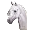 🤩 Эмодзи «Лошади Tg» для Telegram