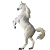 🤩 Эмодзи «Лошади Tg» для Telegram