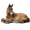 🤩 Эмодзи «Лошади Tg» для Telegram