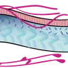 🐟 Эмодзи «Sea» для Telegram