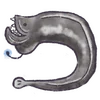 🐟 Эмодзи «Sea» для Telegram