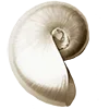 🐚 Эмодзи «Ideology» для Telegram