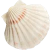 🐚 Эмодзи «Ideology» для Telegram