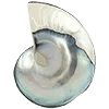 🐚 Эмодзи «Ideology» для Telegram