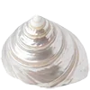 🐚 Эмодзи «Ideology» для Telegram