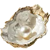 🐚 Эмодзи «Ideology» для Telegram