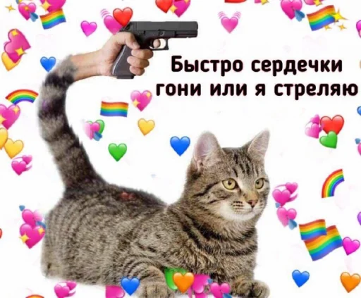Стикерпак ProvinsiaAlkashki для Telegram — скачать