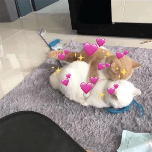 ❤️ Стикер «ProvinsiaAlkashki» для Telegram
