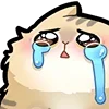 🥺 Эмодзи «Love Cats» для Telegram