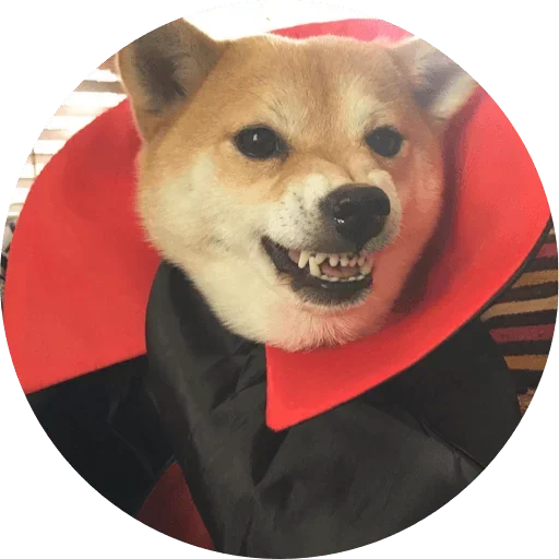 Стикерпак Favourite для Telegram — скачать