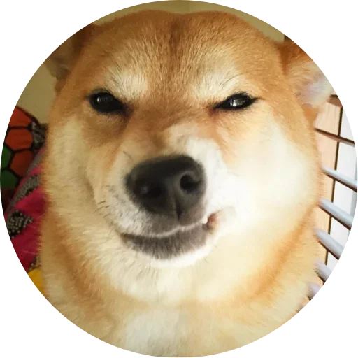 🤪 Стикер «Favourite» для Telegram