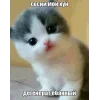 🤩 Эмодзи «🤩 кисы - картинки с котиками» для Telegram