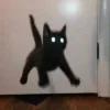 🤩 Эмодзи «🤩 кисы - картинки с котиками» для Telegram