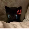 🤩 Эмодзи «🤩 кисы - картинки с котиками» для Telegram