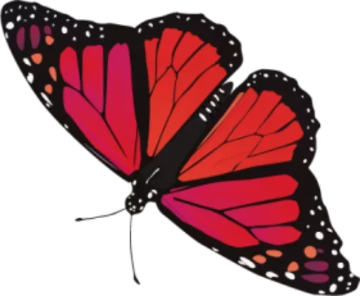 🎀 Стикер «butterflyes» для Telegram