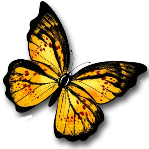 🎀 Стикер «butterflyes» для Telegram