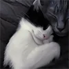 ❤️ Эмодзи «Парные И Любовные» для Telegram