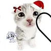 ❤️ Эмодзи «Парные И Любовные» для Telegram