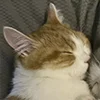 ❤️ Эмодзи «Парные И Любовные» для Telegram