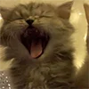 ❤️ Эмодзи «Парные И Любовные» для Telegram