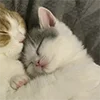 ❤️ Эмодзи «Парные И Любовные» для Telegram