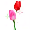 🌷 Эмодзи «flowers #flowers #цветы» для Telegram